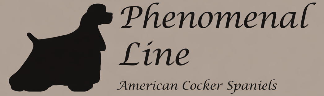 Kennel Phenomenal Line -Yvonne Müller-Verhees T.+3162812425